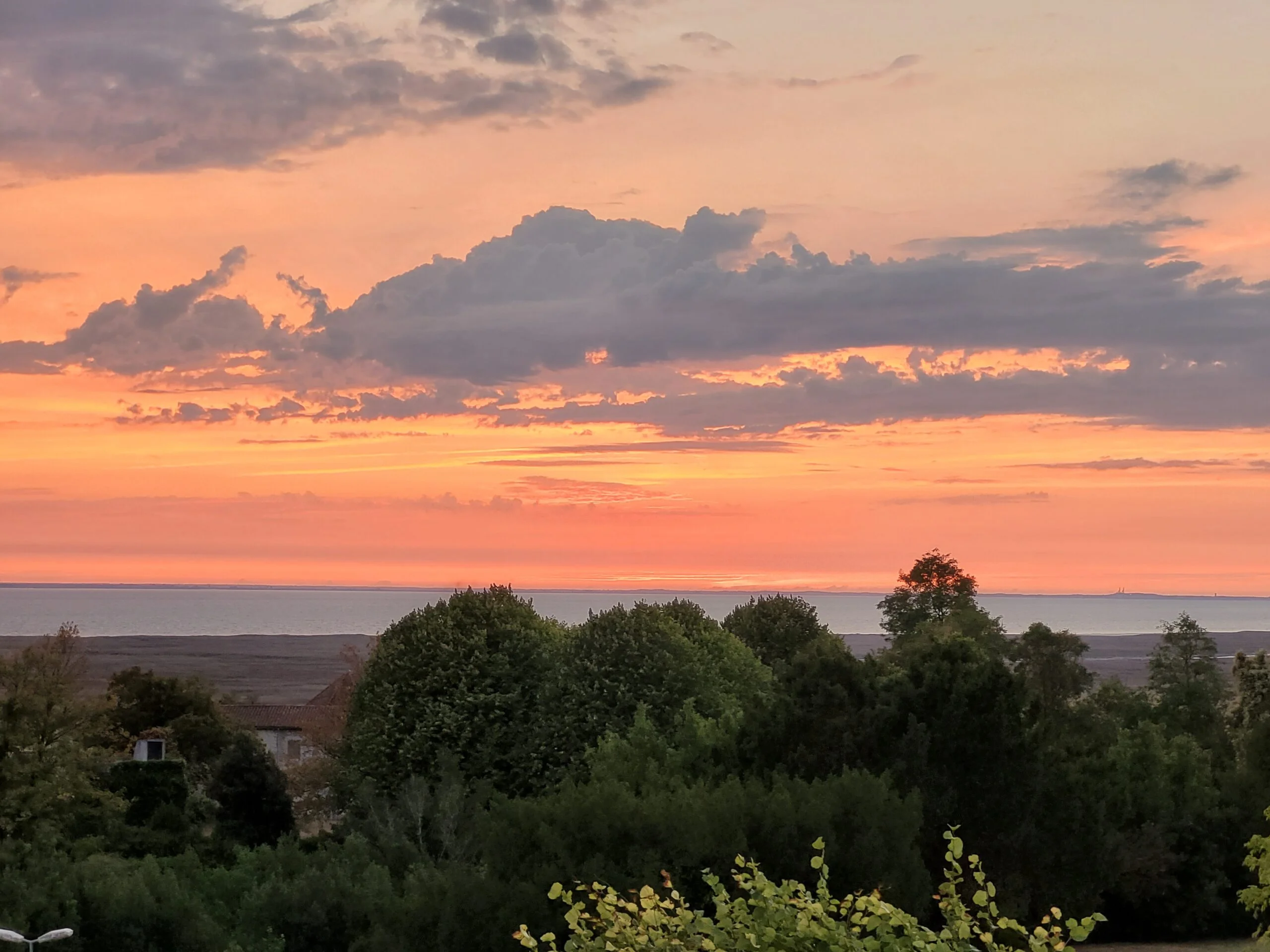 20230911 202945 scaled